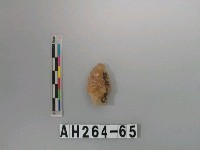 藏品(帶鋌打製石鏃)的圖片